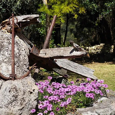 Villa Casa Porqueres Pollensa